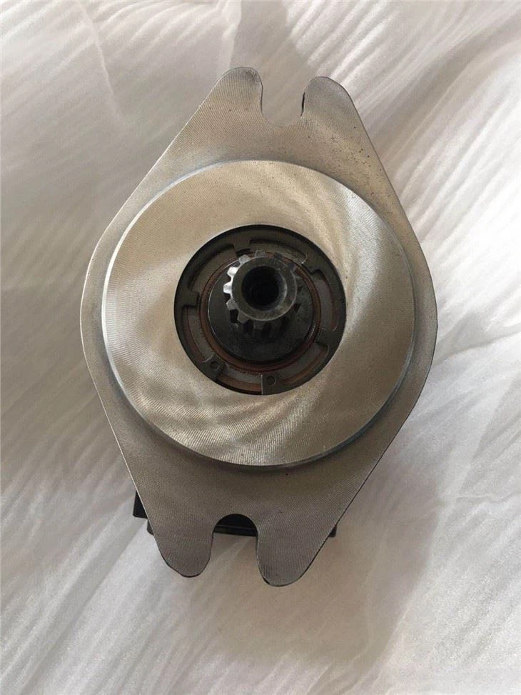 Rexroth M A4FO 250/31R-PPB25 A4FO A4F A4FO16 A4F016 Series Hydraulic Motor Piston Pump Motor A4FO22 A4FO28 A4FO40 A4FO71 A4FO125